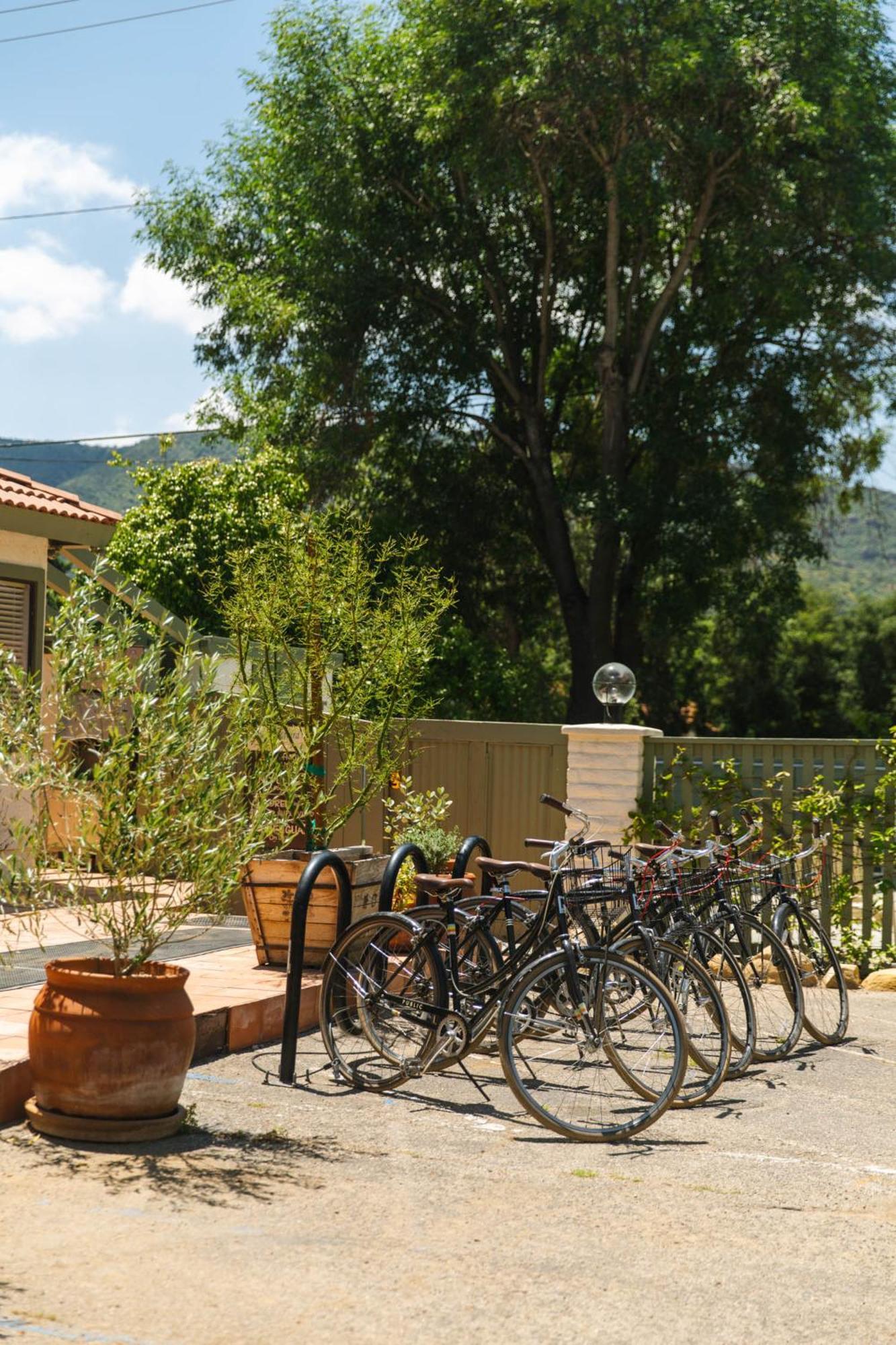 Hummingbird Inn Ojai Zewnętrze zdjęcie